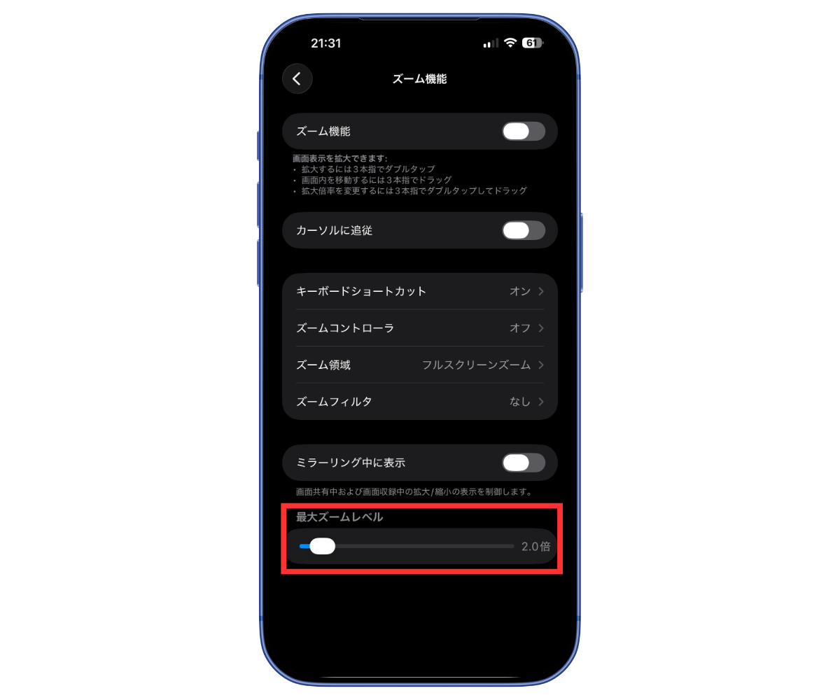アクセシビリティでズーム倍率を変更する