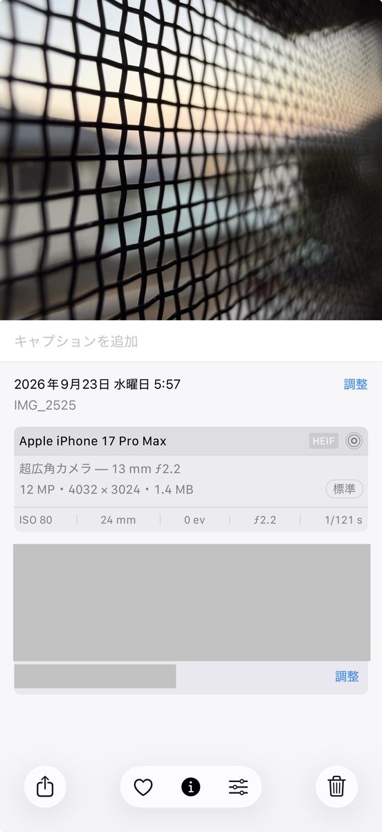 「元に戻す」をタップした後、情報表示画面に戻り地図と位置情報が復元された画面