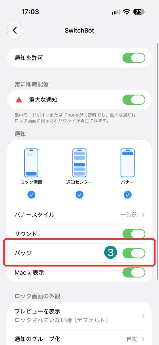 設定→通知→対象アプリを開き、「バッジ」の項目が見える画面