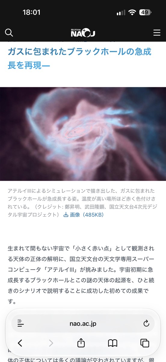 Safariの同じニュース記事の通常表示画面